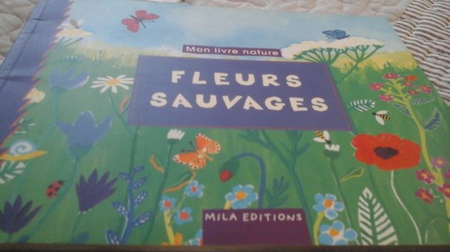 Livre mon nature fleurs - livre,