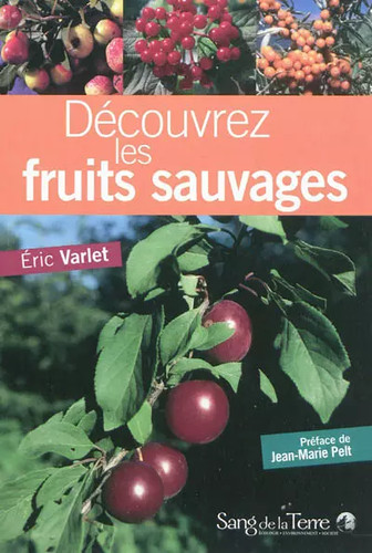 Decouvrez les fruits sauvages