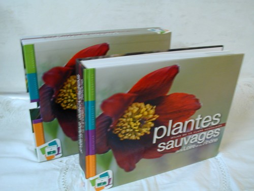 Plantes sauvages loire - de, la