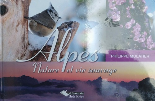 Alpes nature vie - nature, sauvage