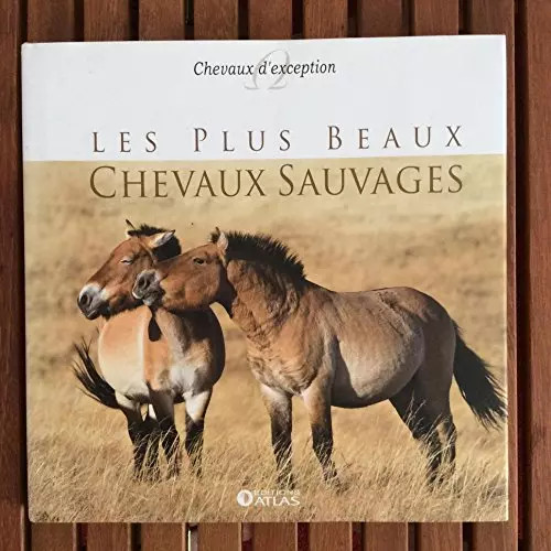 Les plus beaux chevaux