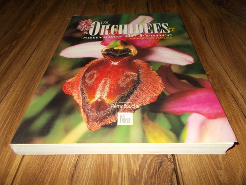 Les orchidées sauvages - les, de