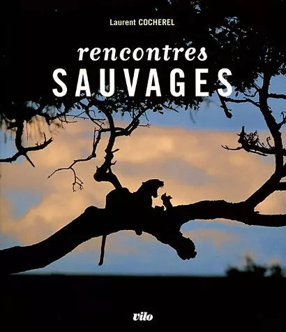 Rencontres sauvages laurent - rencontres, sauvages,
